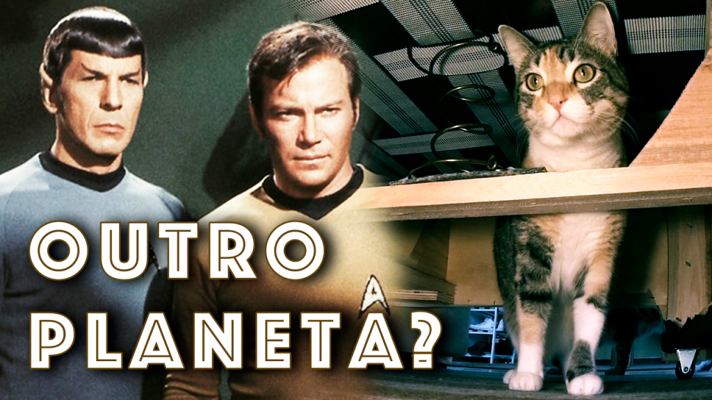 Meus Gatos se Teletransportam